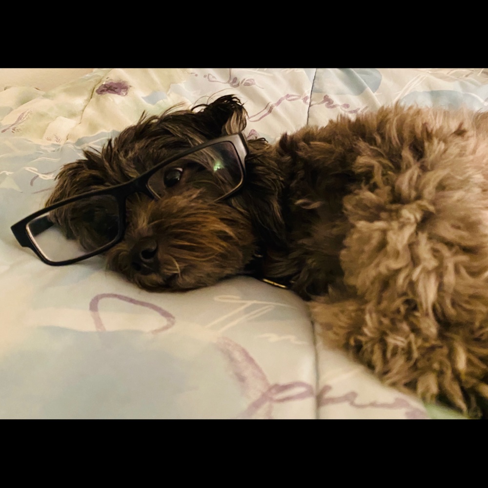 Meet your Posher, Melissa